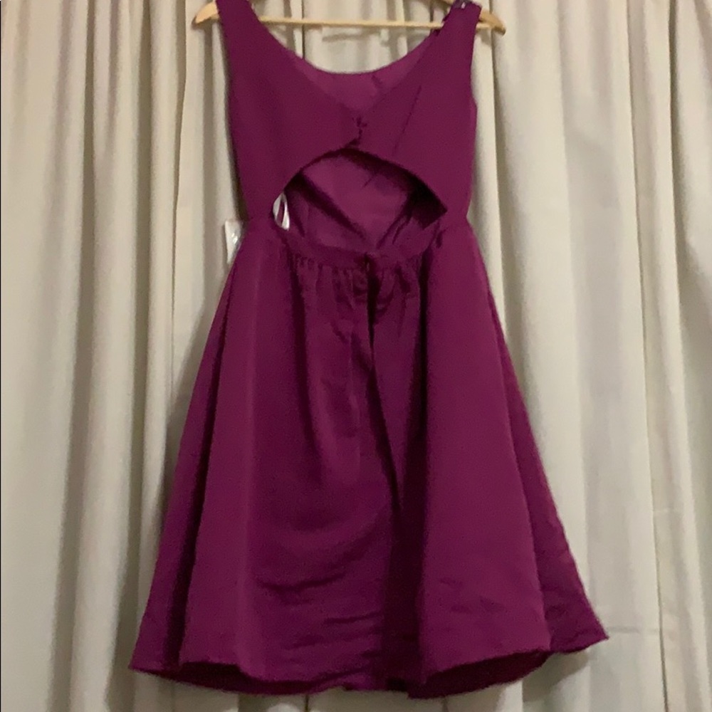 David’s Bridal - raspberry - open back mini - Picture 4 of 4